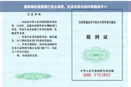揭秘催收调查银行流水真相，合法与否与应对策略探讨??