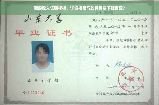 赔偿收入证明模板，详细指南与软件免费下载资源?