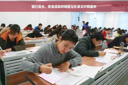 银行流水，资金流动的秘密与中英文对照解析