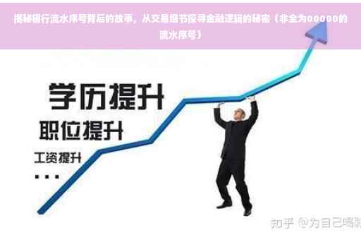 揭秘银行流水序号背后的故事，从交易细节探寻金融逻辑的秘密（非全为00000的流水序号）