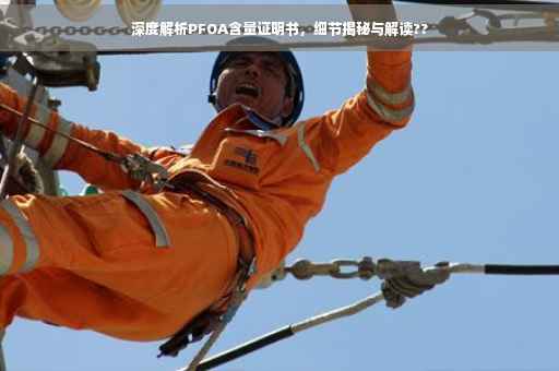 深度解析PFOA含量证明书，细节揭秘与解读??
