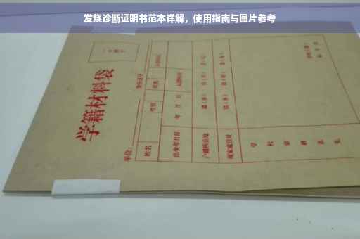 发烧诊断证明书范本详解，使用指南与图片参考