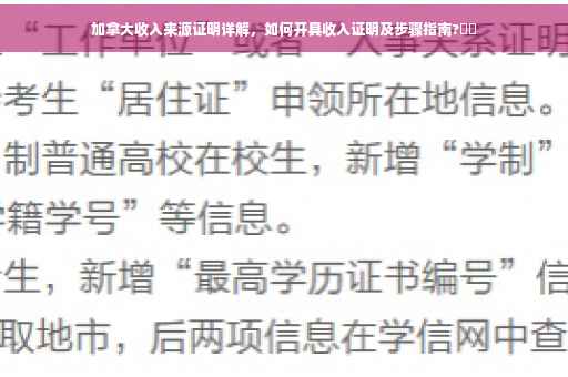 加拿大收入来源证明详解，如何开具收入证明及步骤指南?⚡️