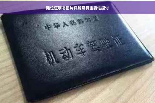 滩位证明书图片详解及其重要性探讨