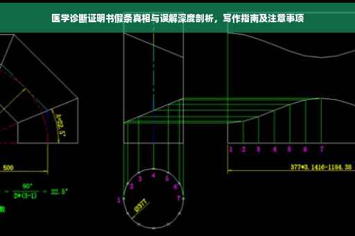 医学诊断证明书假条真相与误解深度剖析，写作指南及注意事项