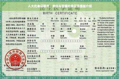 人大代表证明书，责任与荣耀的象征及模板介绍