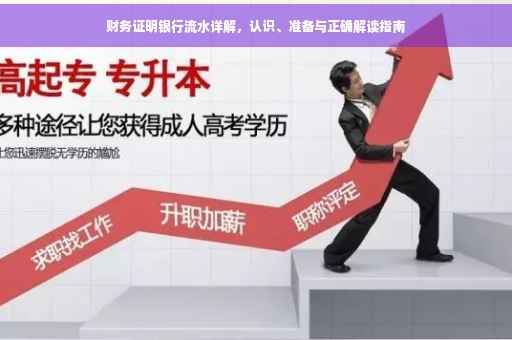 财务证明银行流水详解，认识、准备与正确解读指南