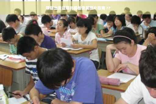 项目出资证明书模板及其图片指南 ??