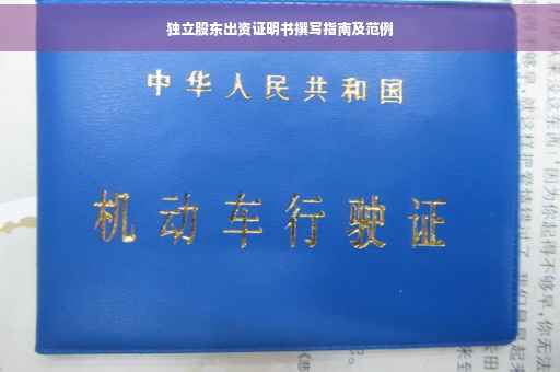独立股东出资证明书撰写指南及范例