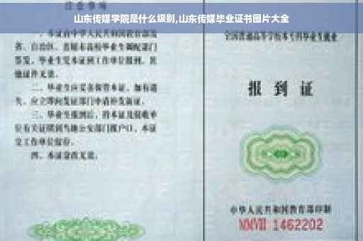 山东传媒学院是什么级别,山东传媒毕业证书图片大全