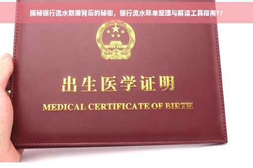 揭秘银行流水数据背后的秘密，银行流水账单整理与解读工具指南??