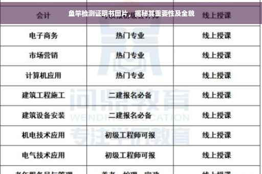 鱼竿检测证明书图片，揭秘其重要性及全貌