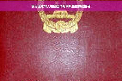 银行流水导入电脑操作指南及便捷体验揭秘