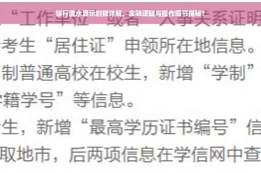 银行流水显示划拨详解，金融逻辑与操作细节揭秘?