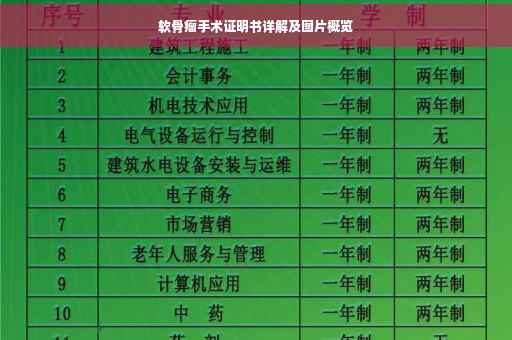 软骨瘤手术证明书详解及图片概览