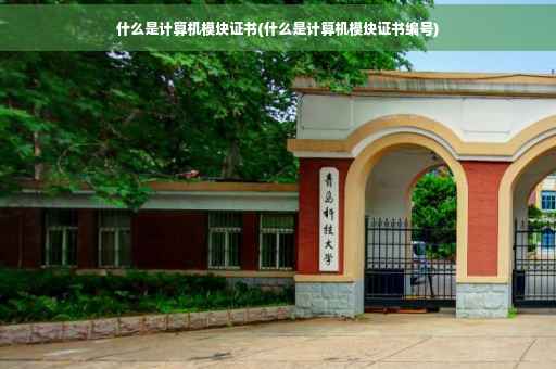 什么是计算机模块证书(什么是计算机模块证书编号)
