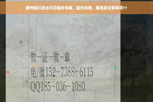 惠州银行流水打印服务详解，操作指南、费用及注意事项??