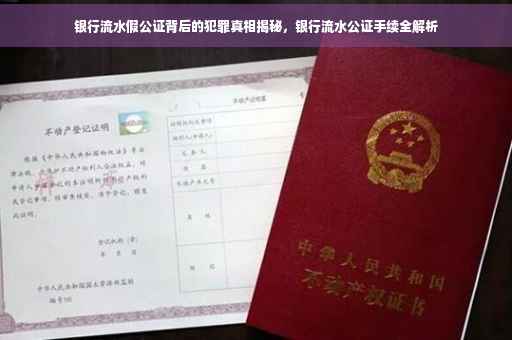 银行流水假公证背后的犯罪真相揭秘，银行流水公证手续全解析