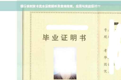 银行实时发卡流水深度解析及查询指南，应用与实战探讨??
