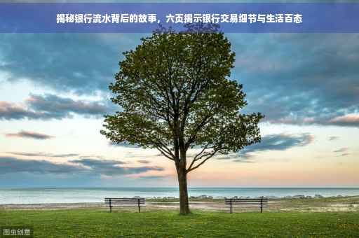 揭秘银行流水背后的故事，六页揭示银行交易细节与生活百态