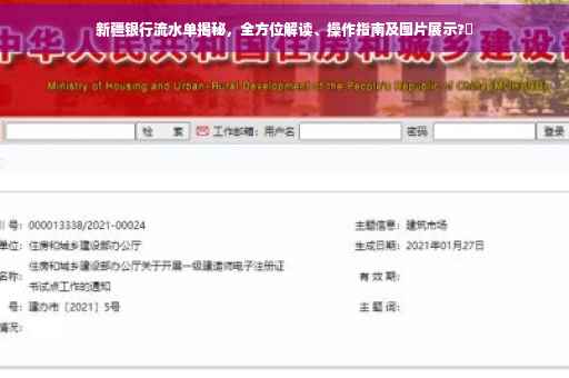 新疆银行流水单揭秘，全方位解读、操作指南及图片展示?✨