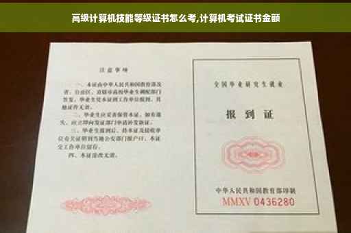高级计算机技能等级证书怎么考,计算机考试证书金额
