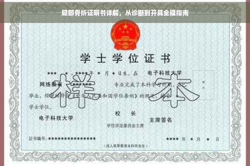 腿部骨折证明书详解，从诊断到开具全程指南