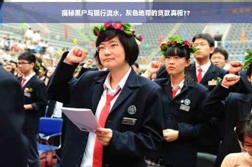 揭秘黑户与银行流水，灰色地带的贷款真相??