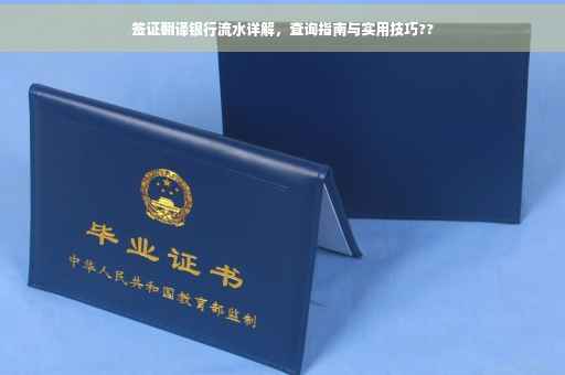 签证翻译银行流水详解，查询指南与实用技巧??