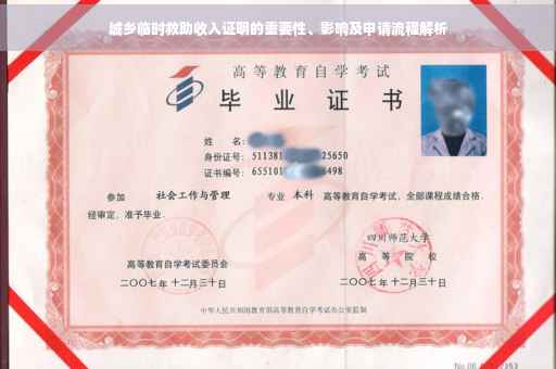 城乡临时救助收入证明的重要性、影响及申请流程解析