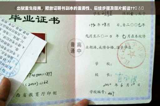出狱重生指南，释放证明书副本的重要性、后续步骤及图片解读??‍♂️