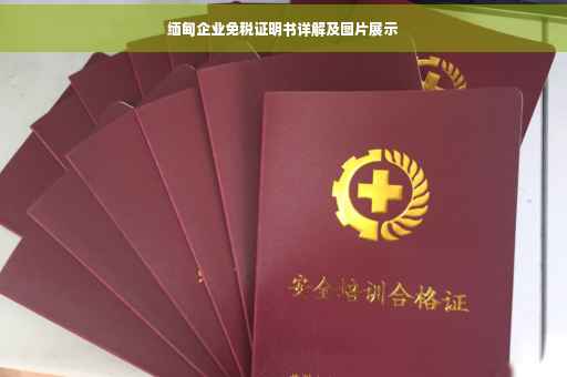 缅甸企业免税证明书详解及图片展示