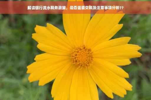解读银行流水税务政策，是否需要交税及注意事项分析??