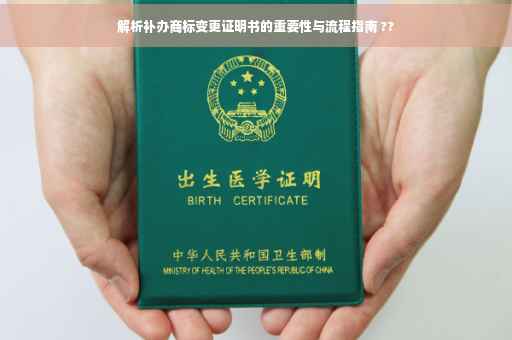 解析补办商标变更证明书的重要性与流程指南 ??