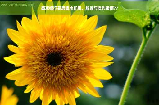盛京银行买房流水详解，解读与操作指南??