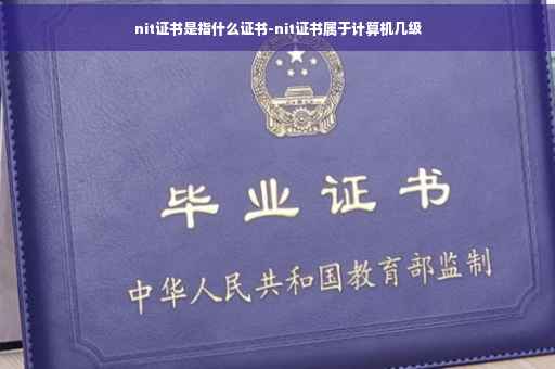nit证书是指什么证书-nit证书属于计算机几级