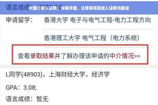 村里打收入证明，详细步骤、注意事项及收入证明书解读