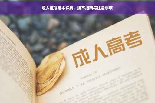 收入证明范本详解，撰写指南与注意事项