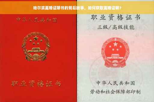 哈尔滨离婚证明书的背后故事，如何获取离婚证明？
