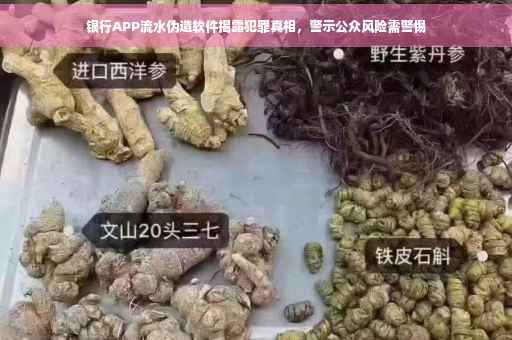 银行APP流水伪造软件揭露犯罪真相，警示公众风险需警惕