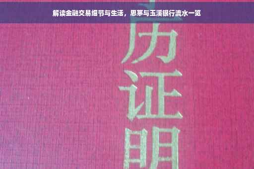 解读金融交易细节与生活，思茅与玉溪银行流水一览