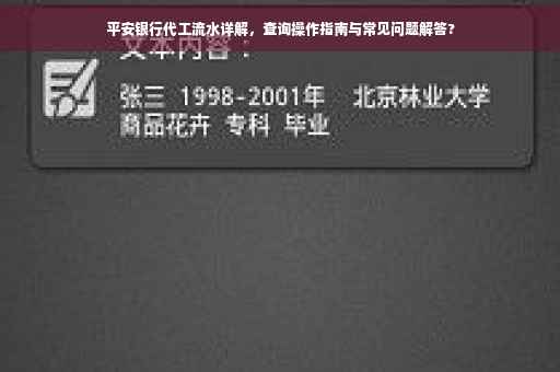 平安银行代工流水详解，查询操作指南与常见问题解答?