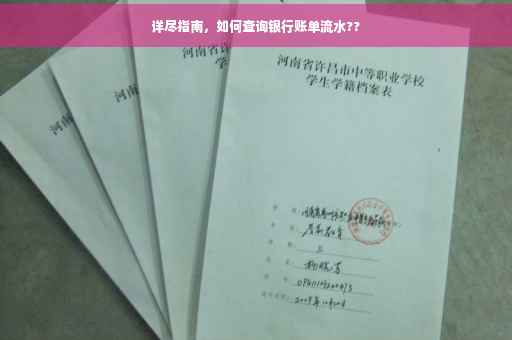 详尽指南，如何查询银行账单流水??
