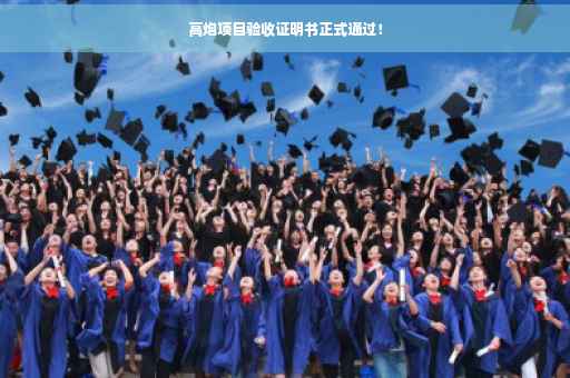 高炮项目验收证明书正式通过！