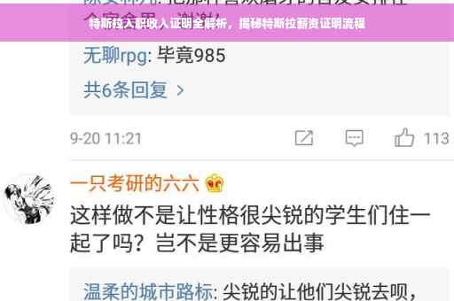 特斯拉入职收入证明全解析，揭秘特斯拉薪资证明流程