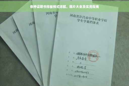 各种证明书样板格式详解，图片大全及实用指南