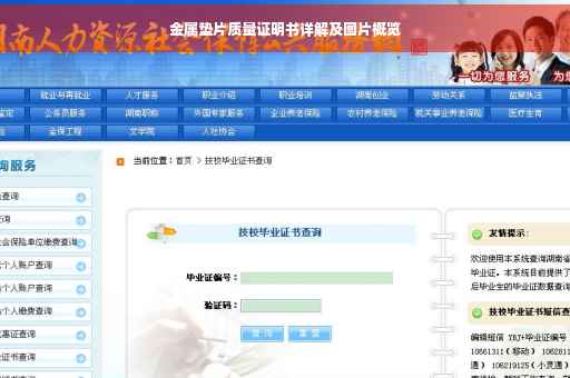 金属垫片质量证明书详解及图片概览