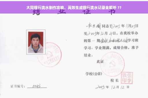 大同银行流水制作攻略，高效生成银行流水记录全解析 ??