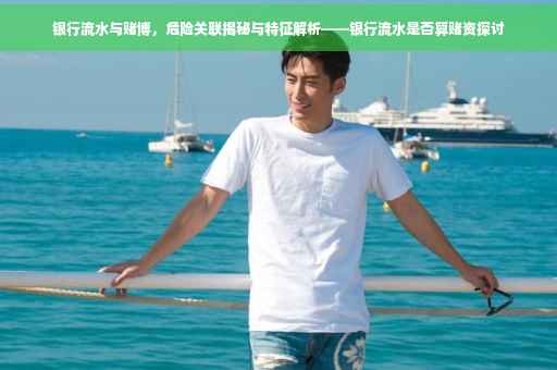 银行流水与赌博，危险关联揭秘与特征解析——银行流水是否算赌资探讨