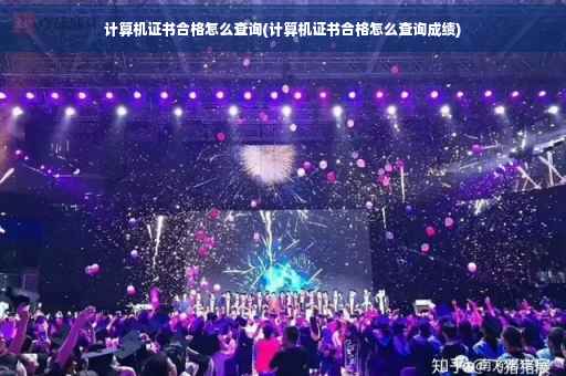 计算机证书合格怎么查询(计算机证书合格怎么查询成绩)